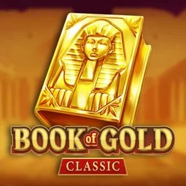 game logo by Playson on maxisspins.nl